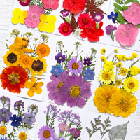 Kit de résine DIY pour fleurs séchées, fleurs pressées véritables pour maquillage, nail art, artisanat en résine époxy, décoration de cadre photo - Marque Airy