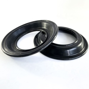 E3 एल्यूमीनियम के लिए FKM डायाफ्राम पंप - Product Image 5