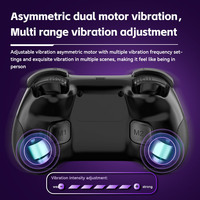 Vente en gros RGB Light Dual Vibration Gamepad 3D Hall Joystick 2.4G Contrôleur de jeu sans fil pour Switch Steam Deck P3 P4