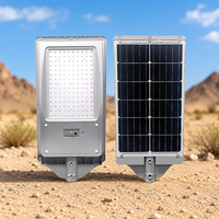 Lampe solaire de jardin résistante à la poussière et à la pluie, avec activation automatique au crépuscule et détection humaine, idéale pour les allées rurales, les fermes et les parcs