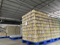 Vente en gros de boisson gazeuse de 350 ml à l'épicerie de marque privée à saveur d'orange fraîche emballée en bouteille et en boîte