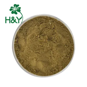 Factory Supplier 10% Andrographolide andrographis paniculata extract powder to Thailand