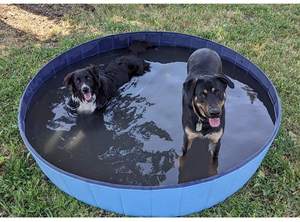 Bañera plegable y fácil de llevar para mascotas resistente a los arañazos para interiores y exteriores - Product Image 2