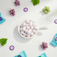 Permen Tablet Vitamin C Rasa Buah Blackcurrant & Mint Bebas Gula OEM dalam Kemasan Kantong