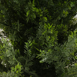 Árbol de Ciprés Artificial Alto, Colección de Árboles de Boj, Cedro y Hierba, Duradero, Realista, Ecológico, Resistente a los Rayos UV, Plástico para Interiores - Product Image 6