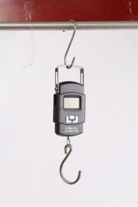 50KG 저울 저울 바슐라 무게 수하물 바슐라 디지털 저울 무게 기계 페소 휴대용 전자 계량 디지털 저울 - Product Image 5