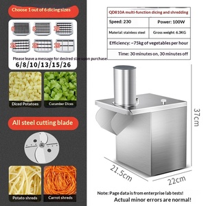 <span class=keywords><strong>Muda</strong></span> Tritatutto Elettrico Commerciale 250kg/h, Affettatrice Multifunzionale in Acciaio Inox per Frutta e Verdura, Macchina Tritatutto per Ristoranti - Product Image 5