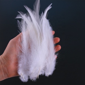 Promotion : Plumes de coq naturelles de 4 à 6 pouces en vrac pour la pêche à la mouche, chapeaux de carnaval, attrape-rêves et décorations - Product Image 5