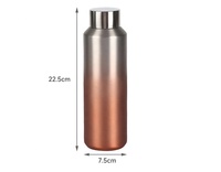 Beuachy Eco Friendly Personnalisé Extérieur Portable Dégradé Couleur Réutilisable 600ml Isolé Thermique En Acier Inoxydable Bouteille D'eau