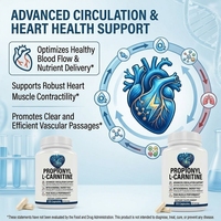 L-Carnitine Propionyl Liposomale Liquide pour une Production d'Énergie Cellulaire Améliorée, Santé Cardiovasculaire et Performance Sportive - Capsules