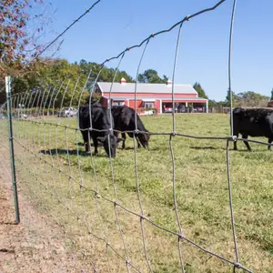 Valla de ganado y oveja de alta calidad con revestimiento de PVC para producir en fábrica de China, cerca de ganado de acero inoxidable para granja