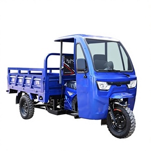 Motocicleta Triciclo de Carga Agrícola de 250cc 200cc, <span class=keywords><strong>Moto</strong></span> Triciclo de Carga de Tres Ruedas - Product Image 1