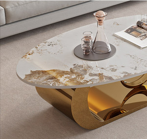 Mesa de Centro Ovalada de Acero Inoxidable, Portátil, Moderna, Minimalista, de Lujo Ligero, con Marco Metálico para Sala de Estar - Product Image 6