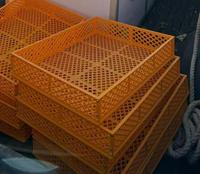 Panier d'éclosion pour l'élevage avicole avec vis, panier jaune, équipement d'élevage pour poulets, canards, oies, pigeons, cailles