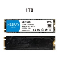 SSD M.2 SATA 128 Go, 256 Go, SSD M.2 de 1 To, disques SSD