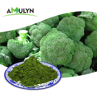 Extrait de brocoli pur à base de plantes, poudre de pousses de brocoli séchée par pulvérisation