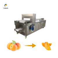 Machine d'extraction, extracteur et séparateur des graines, Machine d'extraction, de grains d'abricot et de poivre