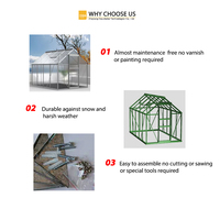Cadre en aluminium de haute qualité, serre de jardin en Polycarbonate naturel