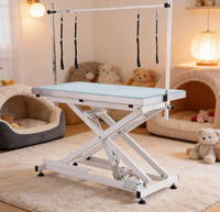 Produits de toilettage pour animaux de compagnie MT Medical, adaptés aux chiens et aux chats, table de toilettage en verre trempé givré, personnalisation acceptée.