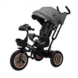 Triciclo Infantil de Alta Calidad Hecho a Medida con Asiento Giratorio de 360 Grados para Bebés - Product Image 1