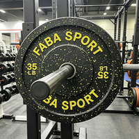 Équipement de fitness commercial de qualité supérieure, plaque de musculation en acier et caoutchouc durable pour l'entraînement de force et la musculation