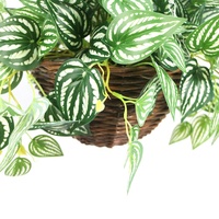 Guirlande de pastèque artificielle de 50 cm de haut avec panier tressé à la main, feuillage réaliste pour projets de décoration rustique intérieure et extérieure