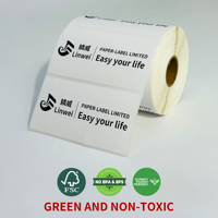 Boîte de 5 rouleaux d'étiquettes thermiques vierges compatibles de haute qualité 4 x 2 pouces, 3750 étiquettes au total