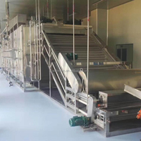 Tunnel de convoyeur continu Type Raisn Mesh Ceinture Sèche-linge Four de séchage Usine de transformation des aliments Pièces de rechange gratuites