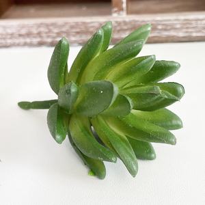 Echeveria พืช <span class=keywords><strong>Kalanchoe</strong></span> ปลอมเนื้อนิ่มขนาดเล็ก,สำหรับตกแต่ง - Product Image 3