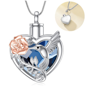 Collier urne colibris en acier inoxydable avec cristal pour cendres, bijou commémoratif pour femmes et hommes - Grande Vente - Product Image 1