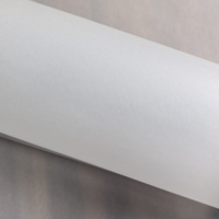 Papier sulfurisé translucide spécial de haute qualité, écologique et imperméable pour emballage de boîtes cadeaux et impression, 55-285 m² en stock