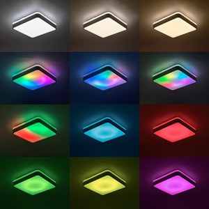 <span class=keywords><strong>Wifi</strong></span> kiểm soát LED thông minh Đèn trần tuôn ra núi cho trang trí nội thất trong bóng trắng cho phòng khách & phòng ngủ - Product Image 4