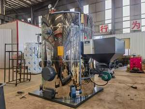 מחיר גנרטור קיטור מונע ביומסה, פסולת חקלאית, עץ, פחם, קליפת קוקוס וקנה סוכר, אנכי, 200 ק\\\"ג 300 ק\\\"ג 500 ק\\\"ג 700 ק\\\"ג - Product Image 4