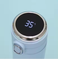 Thermos intelligent en acier inoxydable de 500 ml avec affichage de la température LED, isolation thermique 12h chaud/froid, utilisation en salle de sport