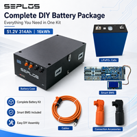 Kit de boîtier de batterie DIY Seplos 48V 51.2V LiFePO4 280Ah 306Ah 314Ah avec 16 cellules, boîtier et BMS 200A pour stockage d'énergie solaire domestique
