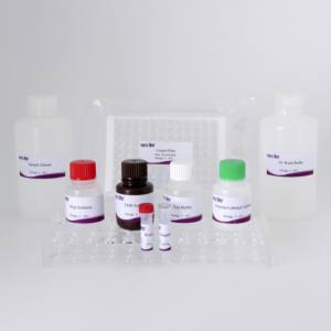 Kit de l'anticorps ELISA de <span class=keywords><strong>REV</strong></span> (96T) | CE certifié | Test de sérum aviaire | Commande en gros disponible - Product Image 6