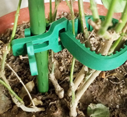 Adjustable Interlock Gardening <strong>Tree</strong> <strong>Ties</strong> Garden Products Soft Flexible <strong>Rubber</strong> Chain Lock <strong>Tree</strong> <strong>Ties</strong> - Product Image 3