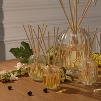 Diffuseurs de parfum d'intérieur en verre avec bâtonnets en rotin, sans alcool, sans flamme, aromathérapie, coffret cadeau, 180 jours