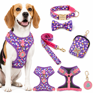 <b>Dog</b> Harness Set Adjustable No Pull Pet Harnesses with Collar Bow Tie Leash Poop Bag Holder ID <b>Tag</b> with Metal Buckle Coffee - Product Image 4