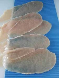 Máquina Cortadora de Carne Fresca Automática de 220V con Motor para Filetes de Pollo, Bistec de Res y Lomo de Cerdo, Ahorra Esfuerzo - Product Image 6