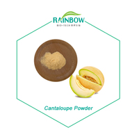 Poudre de jus de melon Hami en vrac pour usine, poudre de fruit de cantaloup