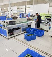 Ligne de moulage automatique PVC Linqiao Machinery 42kW avec four de séchage à convoyeur pour la fabrication de semelles de chaussures, logos, étiquettes et tapis de tasse