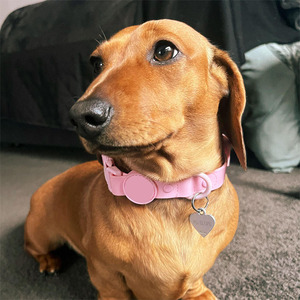 卸売防水<span class=keywords><strong>PVC</strong></span>犬の首輪セットカラフルな犬の鎖と犬を歩くためのうんちバッグホルダー - Product Image 4