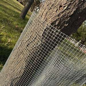 Wholesale 0.5mm 1/4 Inch Galvanized Hardware Cloth - Perfect for Garden, DIY, <b>Animal</b> <b>Enclosures</b> - Product Image 5