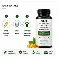 Gélules molles OEM L-Carnitine CLA Thé Vert pour le métabolisme, soutien énergétique, gestion du poids, supplément antioxydant pour adultes