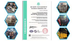 Ammortizzatore prezzo diretto della fabbrica T11-2905010 OEM adatto per Chery - Product Image 5