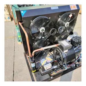 R404a R134a R507a Refrigerant Industrial Refrigeration Condensing Units Cooling Equipment For Blast Freezer Cold Room