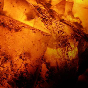 Tureen de 8oz para Primavera y Verano - Product Image 6