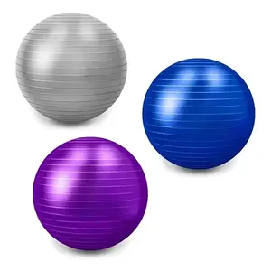 Ballon d'équilibre pour la stabilité, le yoga, le Pilates, la physiothérapie, ballon d'exercice en PVC anti-éclatement avec base en ABS, diamètre 20 cm, EGTMA DEP4 - Product Image 1
