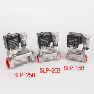 Válvula Solenoide Richain Renqi 220V AC 10-50 Bar de Acero Inoxidable Tipo Piloto para Vapor, Agua, Gas y Aceite Ligero - Product Image 2